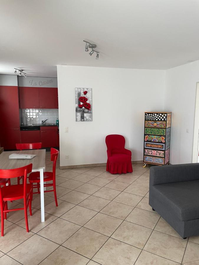 Appartamento 2,5 Con Piscina Nel Cuore Di Locarno 463 Exterior foto